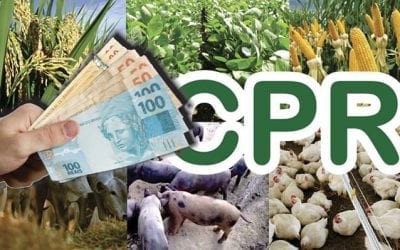 Cédula de Produto Rural sai do papel e vira digital