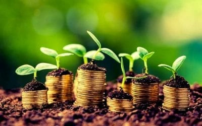 Agronegócio está na mira da fiscalização tributária