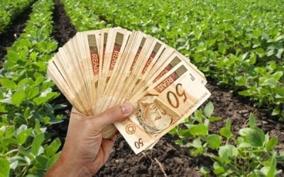 Governo quer aumentar o imposto para o agro