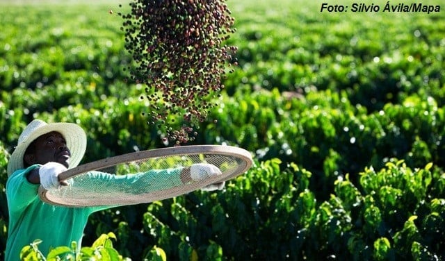 Consumo mundial de café deve crescer 1,4% em 2020/21