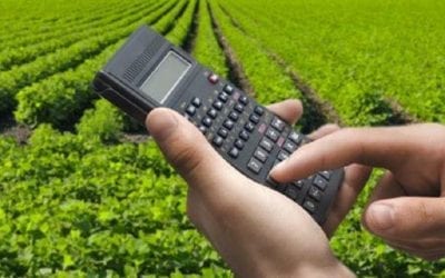 Governo lança programa de renegociação de dívidas ativas do agro