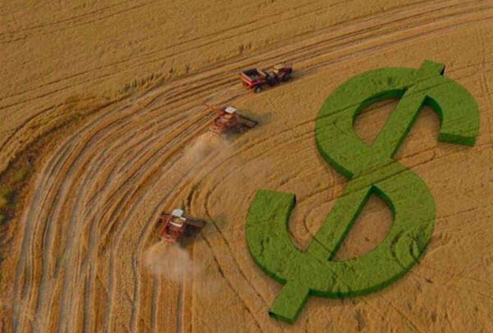 Governo de SP sanciona lei que retoma taxação ao agro a partir de 2021