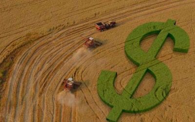 Governo de SP sanciona lei que retoma taxação ao agro a partir de 2021
