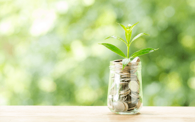 Regras para o imposto de renda do produtor rural em 2022