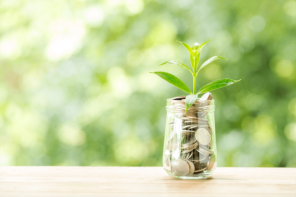 Regras para o imposto de renda do produtor rural em 2022